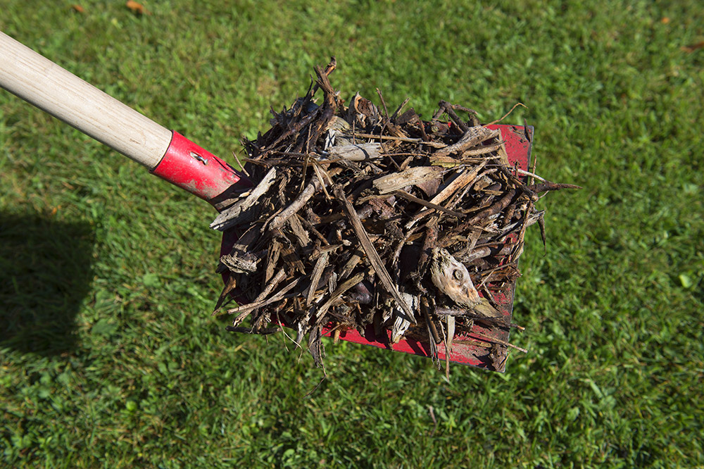 Holzhäcksel-Mulch